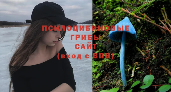 мяу мяу мука Алзамай